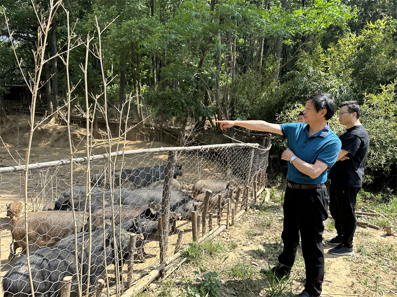 “追尋紅色足跡，擁抱生態(tài)夏意”-夏日團(tuán)建活動9
