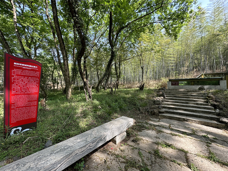 “追尋紅色足跡，擁抱生態(tài)夏意”-夏日團(tuán)建活動2